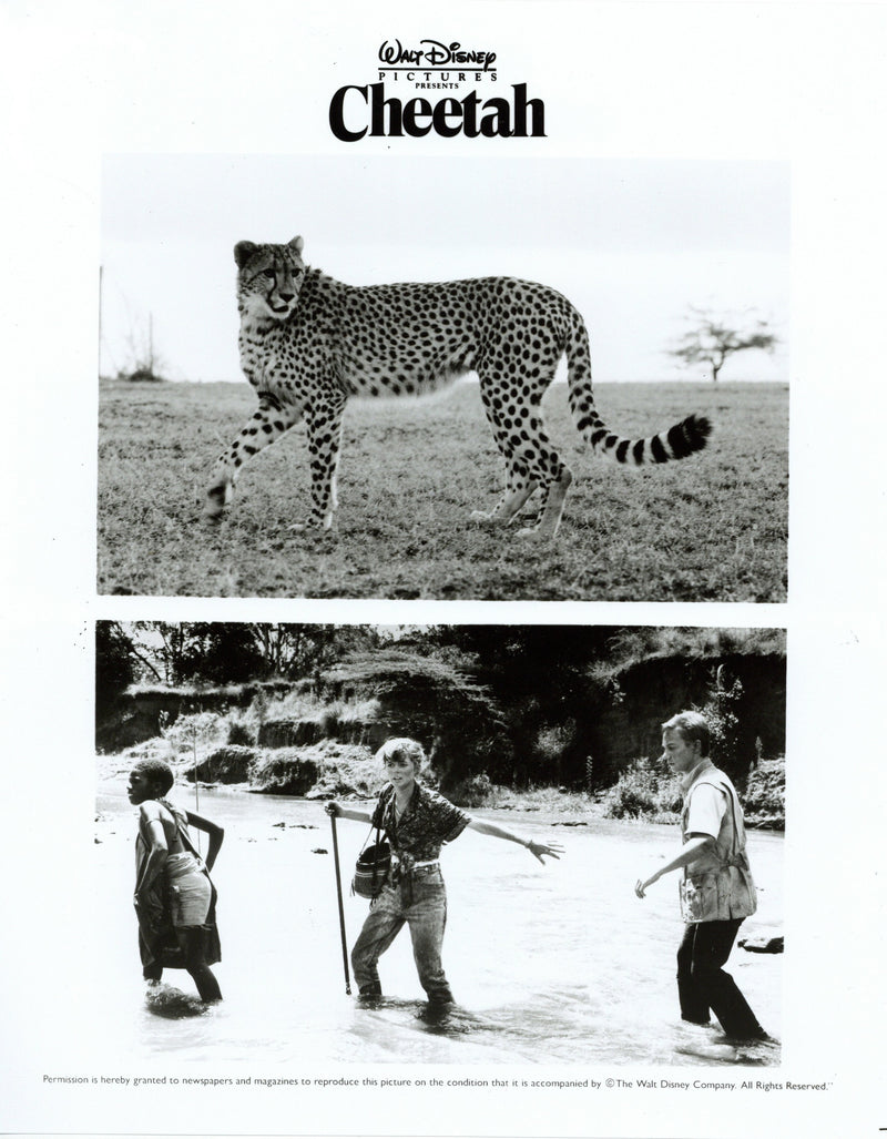 Disney Publicity Photo (1989): Cheetah