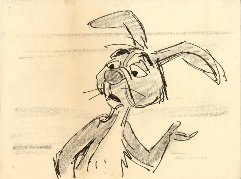 Winnie the Pooh and Tigger Too Original Storyboard: Rabbit