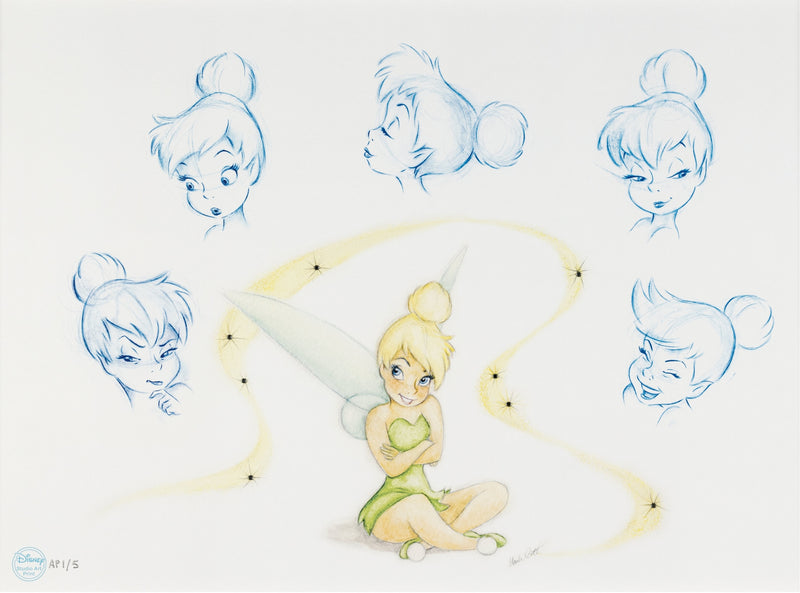 The Many Expressions of Tink (Framed)