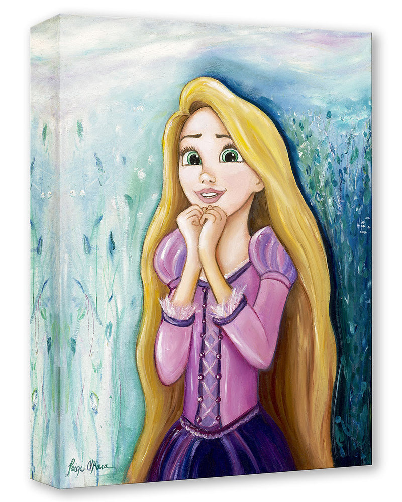 Disney Treasures: Rapunzel