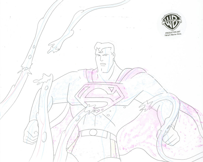 Superman the Animated Series Original Production Cel with Matching Drawing: Superman