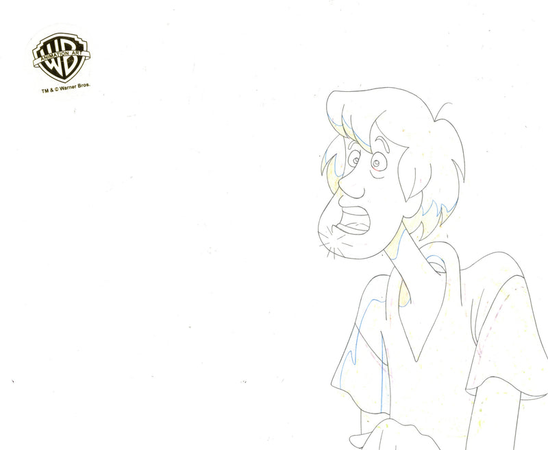 Scooby-Doo on Zombie Island Original Production Cel With Matching Drawing Signed by Bob Singer: Scooby and Shaggy