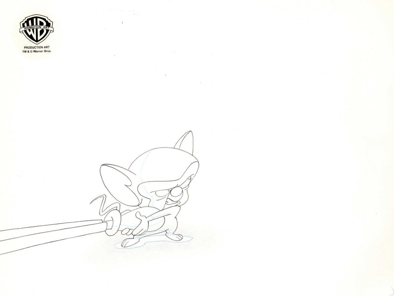 Pinky And The Brain Original Production Cel with Matching Drawing: Pinky and Brain - Choice Fine Art