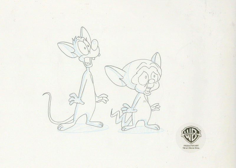 Pinky And The Brain Original Production Drawing: Pinky And Brain - Choice Fine Art