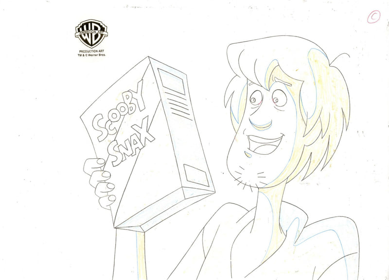 Scooby-Doo on Zombie Island Original Production Cel With Matching Drawing: Shaggy - Choice Fine Art